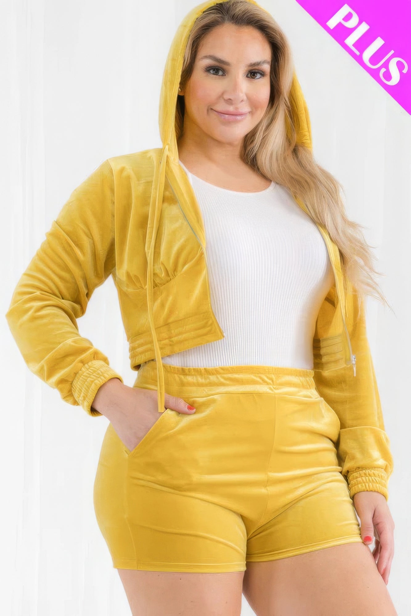 Plus Size Velour Crop Zip Up Hoodie And Shorts Set